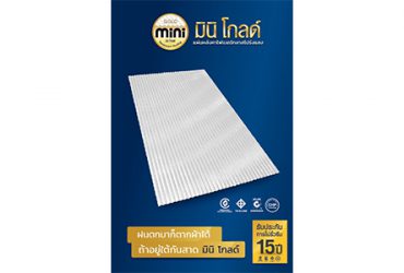 แผ่นหลังคา กันสาดโปร่งแสง Prolite Mini Gold
